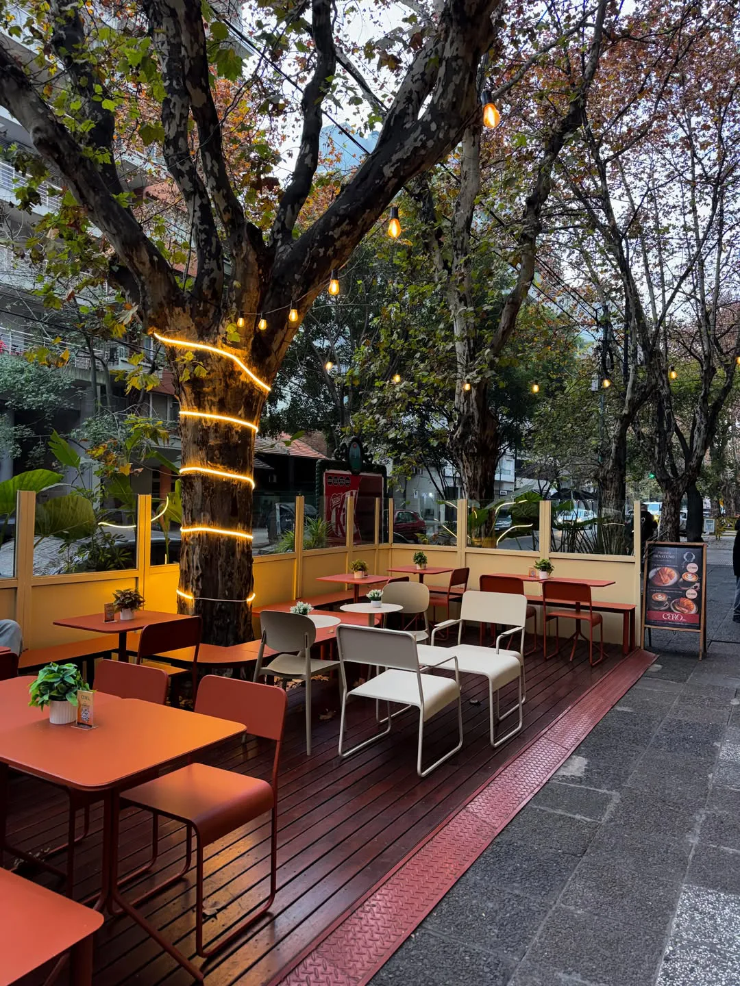 Interior luminoso de Cero Café de Origen