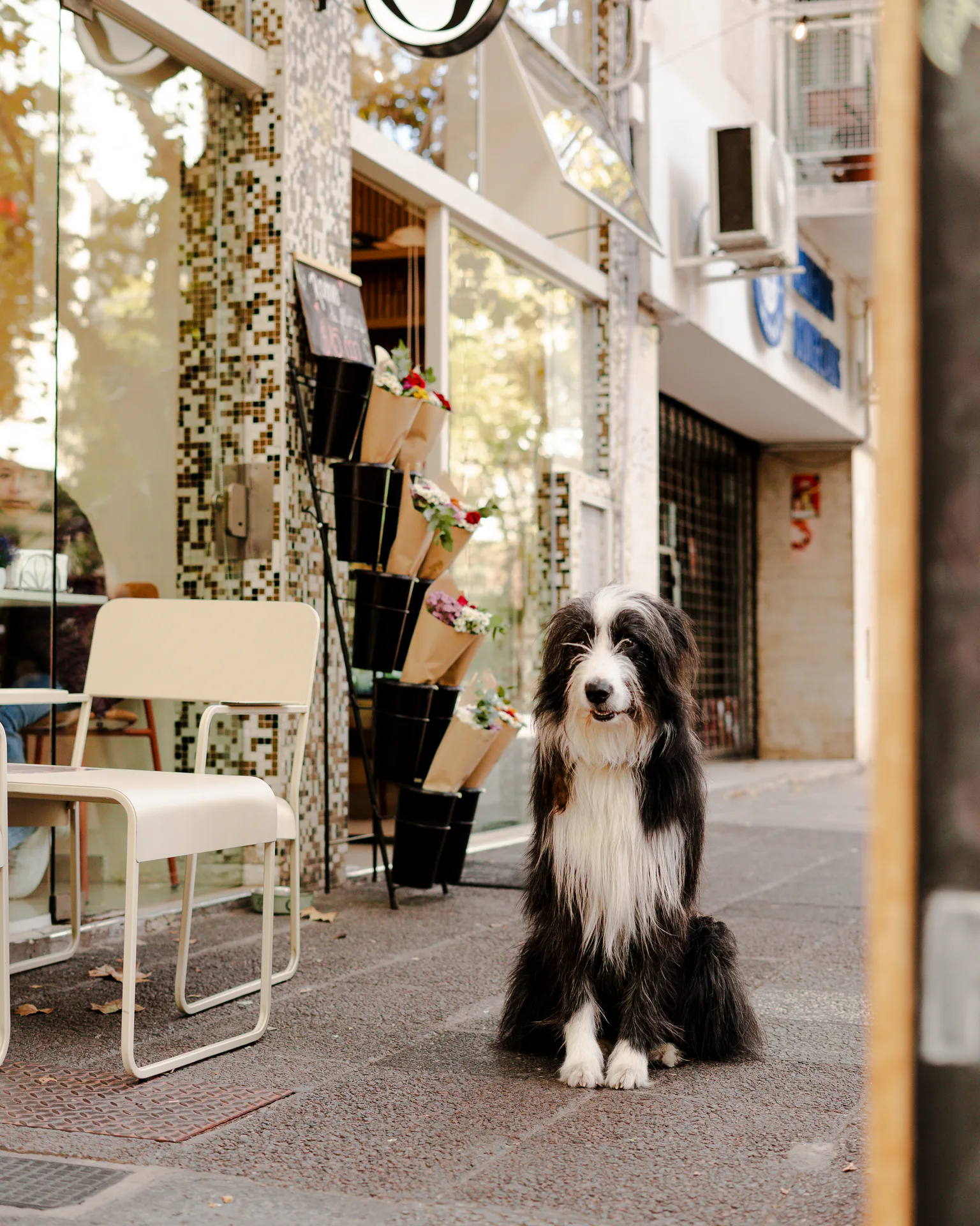 Momento pet friendly en el exterior de Cero Café de Origen